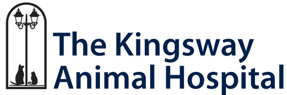 The Kingsway Animal Hospital in Toronto, ON